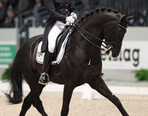 Madeleine Witte-Vrees on Wynton at the 2013 CDI-W 's Hertogenbosch :: Photo © Astrid Appels