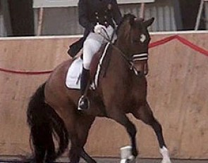 Cathrine Rasmussen and Belandra at a national show in Denmark