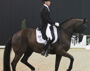 Edward Gal and Undercover at the 2013 CDI Drachten :: Photo © Astrid Appels