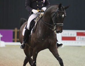 Last year Johan Rockx gave his GP horse Verdi de la Fazenda to wife Penny Zavitz to ride in order to qualify for the 2012 Olympics. In 2013 Johan is back in the saddle himself on this Florett As offspring