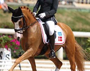 Not For Sale at the 2013 European Pony Championships :: Photo © Astrid Appels