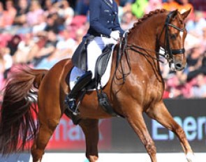 Adelinde Cornelissen and Parzival at the 2013 European Dressage Championships :: Photo © Astrid Appels