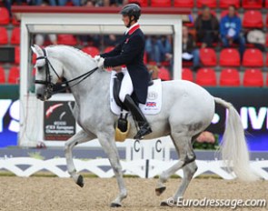 Michael Eilberg and Half Moon Delphi at the 2013 European Dressage Championships in Herning :: Photo © Astrid Appels
