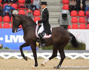 Andreas Helgstrand and Akeem Foldager executing the second piaffe in the Grand Prix test at the 2013 European Dressage Championships :: Photo © Astrid Appels