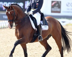 Veronique Henschen and Fontalero at the 2013 European Dressage Championships :: Photo © Astrid Appels