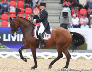 Lone Bang Larsen and Fitou L at the 2013 European Championships in Herning :: Photo © Astrid Appels