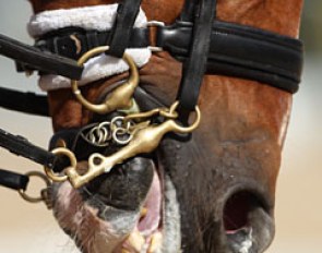 Noseband tightness in competition sport :: Photo © Astrid Appels