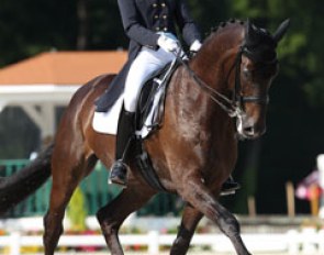 Camilla Christensen and Traneenggaards Akondo at the 2013 European Young Riders Championships :: Photo © Astrid Appels