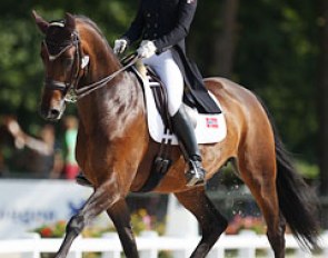 Ravell's Hexia at the 2013 European Young Riders Championships :: Photo © Astrid Appels