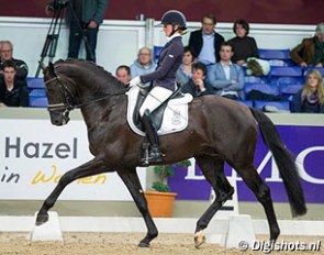 Marieke van der Putten and El Capone at the 2013 KWPN Stallion Competition in Enschede :: Photo © Digishots.nl
