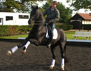 Michael Eilberg on Der Designer at Pink Green Farm in Great Britain