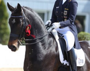 Anabel Balkenhol and Diamonds Forever at the 2013 CDI Hagen :: Photo © Astrid Appels