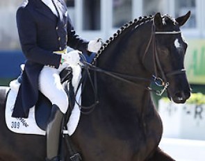 Holga Finken and Haydn at the 2013 CDI Hagen :: Photo © Astrid Appels