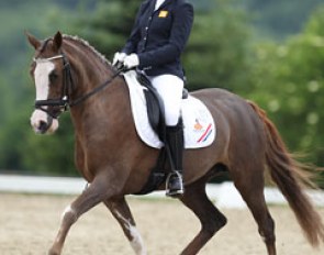 Demy Kurstjens on Nina van de Beekerheide at the 2013 CDIO-P Hagen :: Photo © Astrid Appels