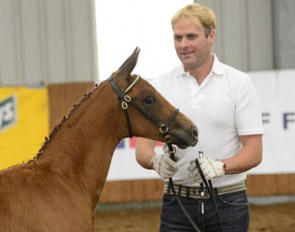 Darren Mattie with filly high scorer Desire (by Dimaggio x Fidertanz) :: Photo © Kevin Sparrow