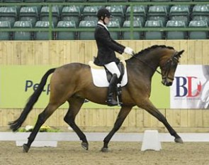 Calum Whithworth and Ramazotti III at the 2013 British young horse qualifier in Hartpury :: Photo © Kevin Sparrow