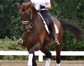 Hayley Beresford and Armani