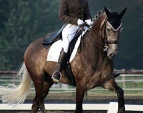 Danielle Heijkoop and Action in 2012 :: Photo © Koen Gomes