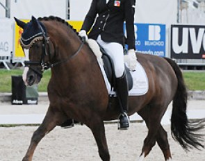 Naomi Winnewisser and Diamant NW at the Swiss Championships in Humlikon :: Photo © Elisabeth Weiland