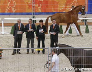 The KWPN Licensing Committee at the 2013 KWPN Stallion Licensing in 's Hertogenbosch :: Photo © Dirk Caremans