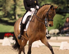 Lavinia Arl on Equestricons Next One