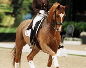 Anky van Grunsven back in the saddle in public since retiring Salinero after the 2012 Olympic Games. She gave a clinic on Quzandria Nur's Danish bred Handsome