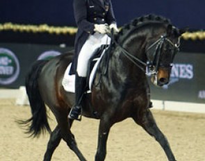 Joyce Heuitink on Wup (by Welt Hit II). The stallion has a very small piaffe and was unsteady in the contact, which led to an uneven passage and swinging tempi's, but the half passes were wonderful