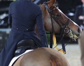 Herzruf's Erbe strikes a pose