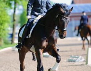 Claire Louise Averkorn schooling Condio B
