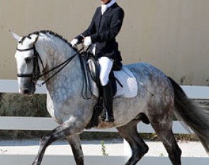 Sarah Warne riding her Lusitano stallion Batialo :: Photo © Rui Pedro Godinho
