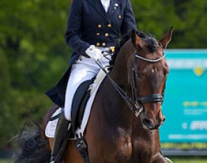 Sanne Beijerman and Tristan at the 2013 CDI Roosendaal :: Photo © Digishots