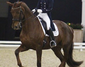 Kyra Klinkers and Tara at the 2013 CDI-U25 Roosendaal Indoor :: Photo © Astrid Appels