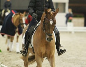 Britt van der Panne schooling Vitell W
