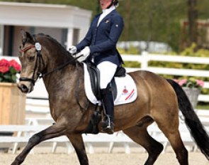 Lisanne Zoutendijk and Champ of Class at the 2013 CDI-P Roosendaal :: Photo © Astrid Appels