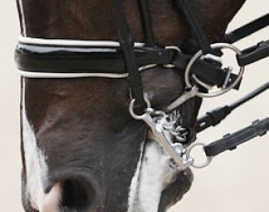 Quite a firm contact with the left snaffle