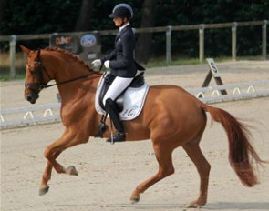 Jessica Michel and Divine Star JM at the 2013 French Young Horse Championships in Saumur