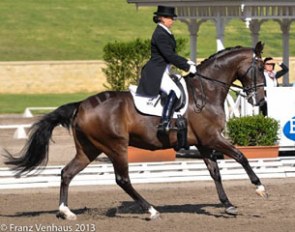 Sue Hearn and Remington at the 2013 CDI Sydney :: Photo © Franz Venhaus