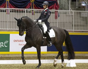 David Marcus and Chrevi's Capital at the 2013 Royal Agricultural Winter Fair in Toronto :: Photo © Cealy Tetley