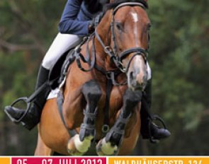 The official poster of the 2013 Baden Wurttemberger Regional Championships in Tubingen