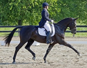 Reese Koffler-Stanfield on Arwen Evenstar :: Photo © Audrey Crosby