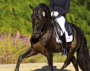Sabine Schut-Kery and Marquis XXXVI