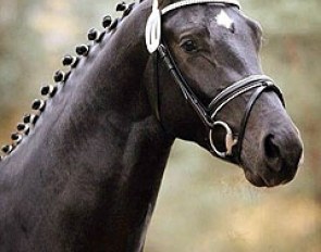 Tolegro (by Totilas x Krack C x Ferro x Variant)