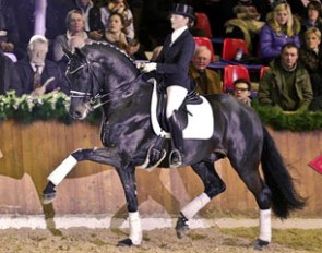 Furstenball (by Furst Heinrich x Donnerhall x Classiker) :: Photo © LL-foto
