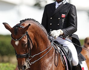 Bo Hostrup and Cajo at the 2013 CDI Verden :: Photo © Astrid Appels