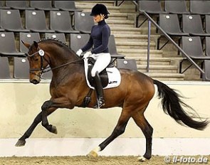 Anne Lauderbach on Fiderbach at the 2013 Hanoverian Late Licensing :: Photo © LL-foto