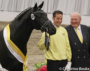 Handler Eckhard Wahlers is all smiles when he presents the crowd favourite premium stallion Finest (by by Furstenball x Wie Weltmeyer) at the 2013 Hanoverian Stallion Licensing :: Photo © Christina Beuke