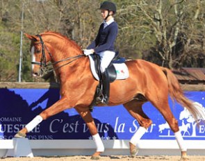 Lucas Alecco Roy on his 17-year old Hanoverian stallion Wisdom at the Domaine Equestre des Grands Pins in Vidauban, France