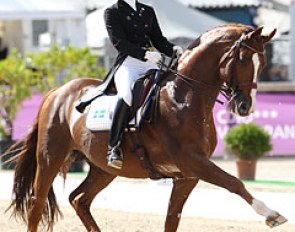Minna Telde and Don Charly at the 2013 CDIO Vidauban :: Photo © Astrid Appels