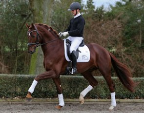 Botero  (by Biasini x Rosenkavalier)
