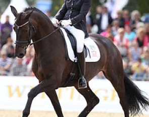 Maria Anita Andersen and Svalegards Hottie at the 2013 World Young Horse Championships :: Photo © Astrid Appels
